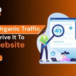 What is Organic Traffic How To Drive It To Your Website